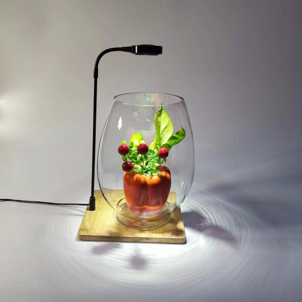 Aquarium Plant On Wood - Lâmpada de preenchimento para plantas de