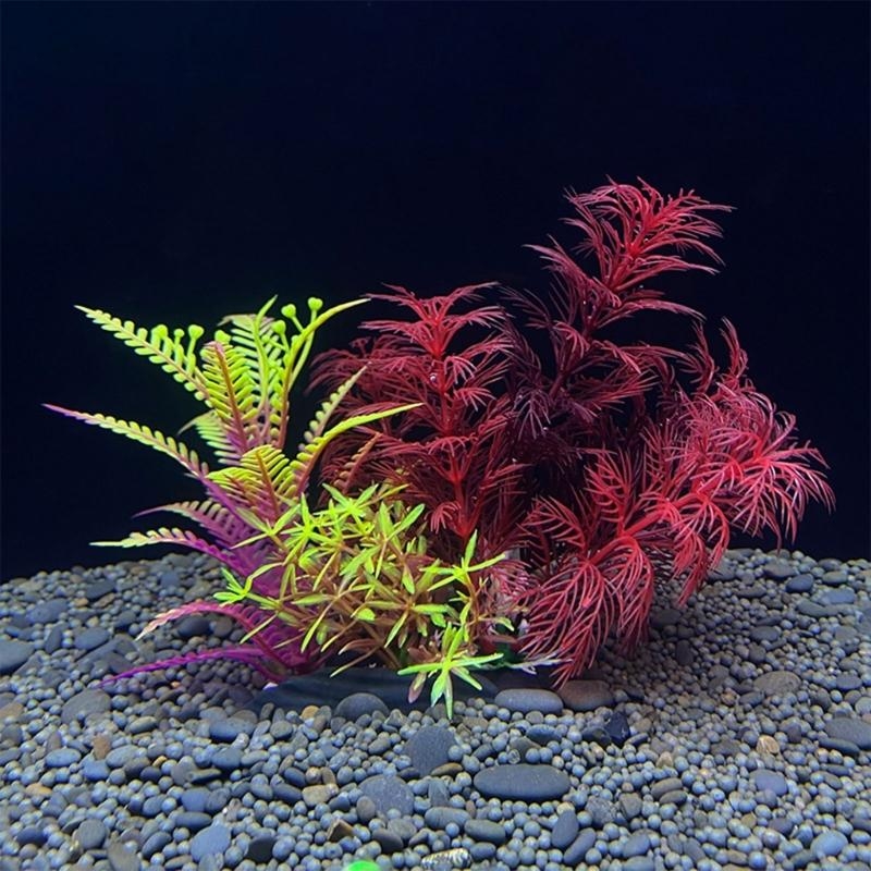 Planted Aquarium For Sale - Decoração de aquário artificial planta decoração