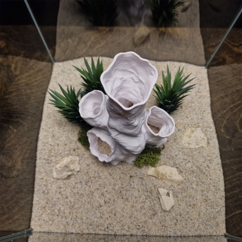 Planted Aquarium For Sale - Oferta Imperdível: Decoração 3D Impressa para