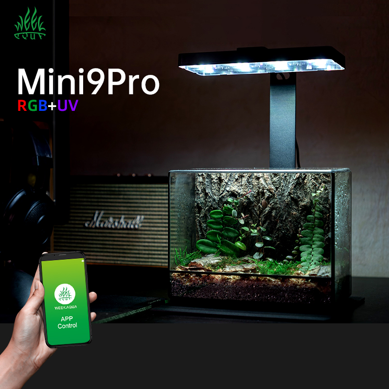 Planted Aquarium For Sale - Luz de Terrário Mini9pro Nano em