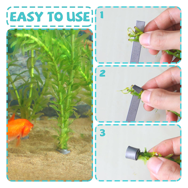 Planted Aquarium For Sale - Nova Promoção: 10 Peças de Pesos