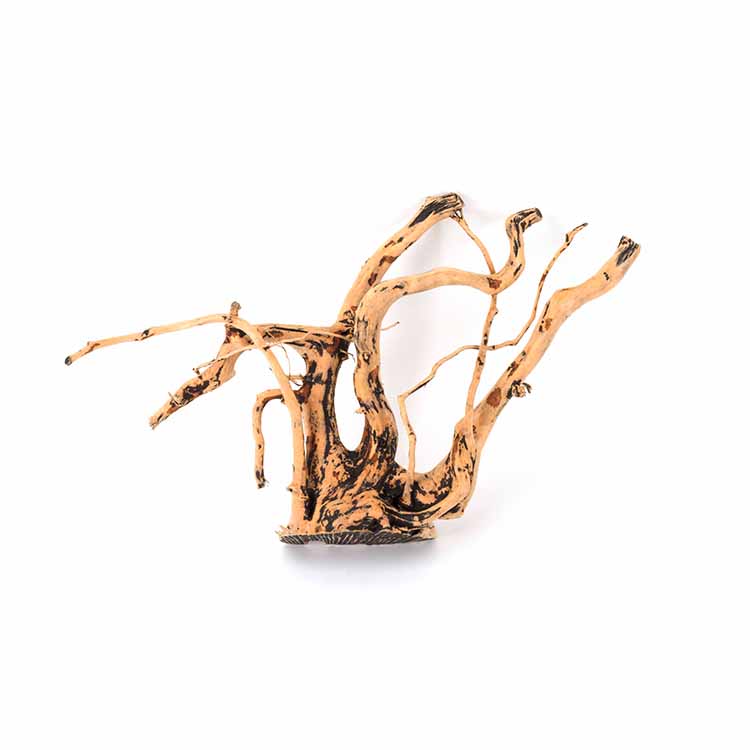 Planted Aquarium For Sale - Decorações Naturais para Aquários à Venda
