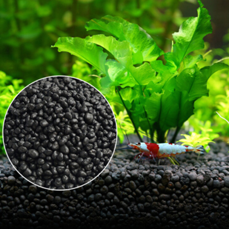 Tissue Culture Plant - Solo para plantas do tanque de