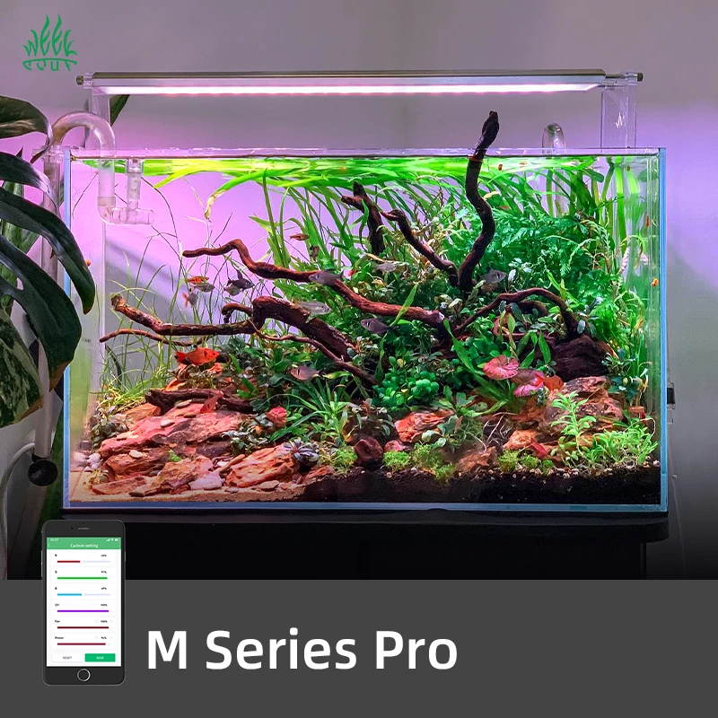 Planted Aquarium For Sale - Lâmpada LED Inteligente ZXY WEEK AQUA