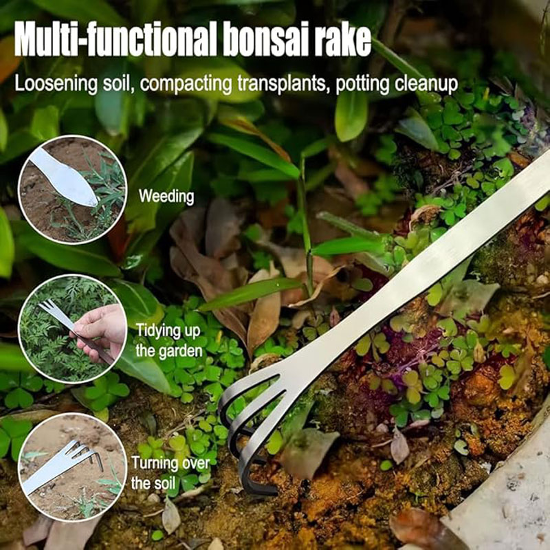 Raspador de raízes de aço inox - Tissue Culture Plant avaliação e preço