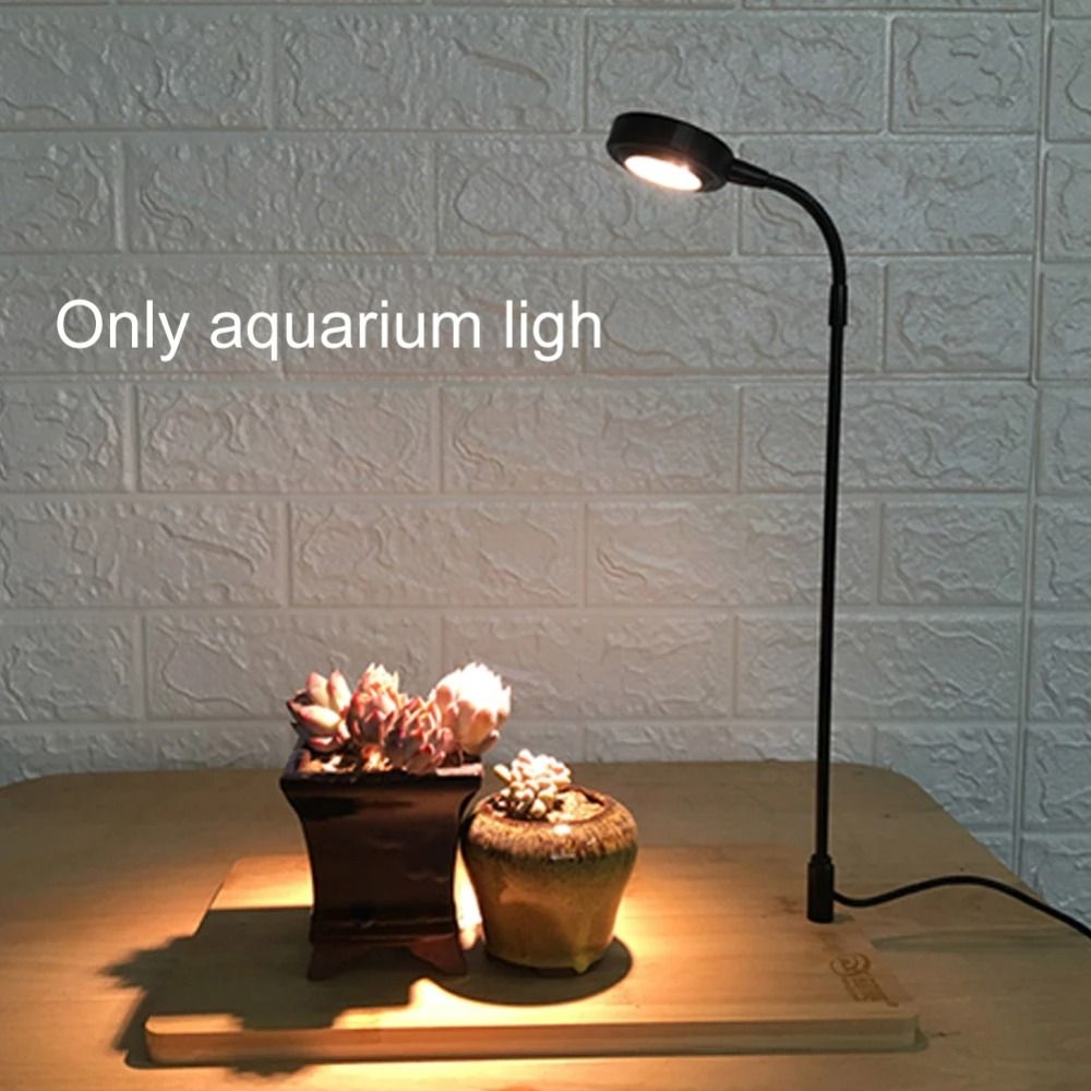 Lâmpada de preenchimento para  - Aquarium Plant On Wood avaliação e preço