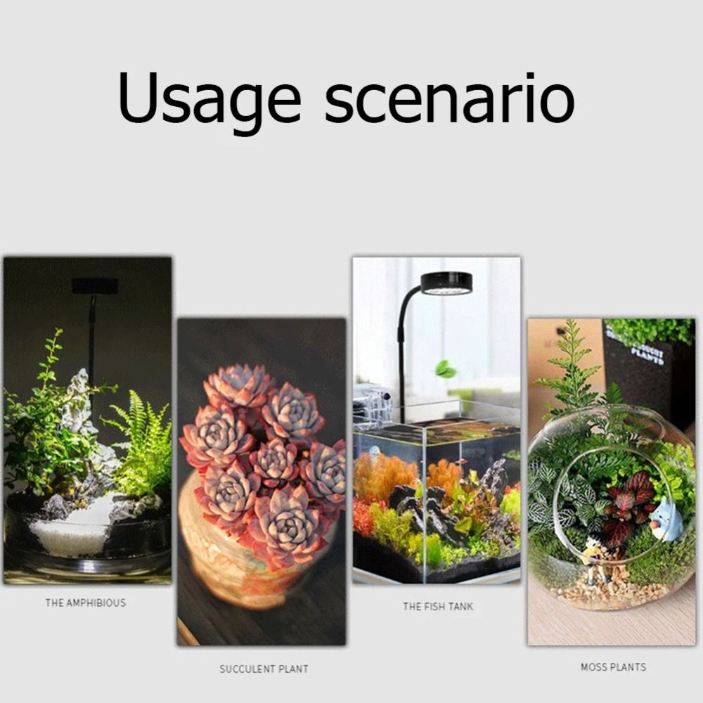Lâmpada de preenchimento para  - Aquarium Plant On Wood avaliação e preço