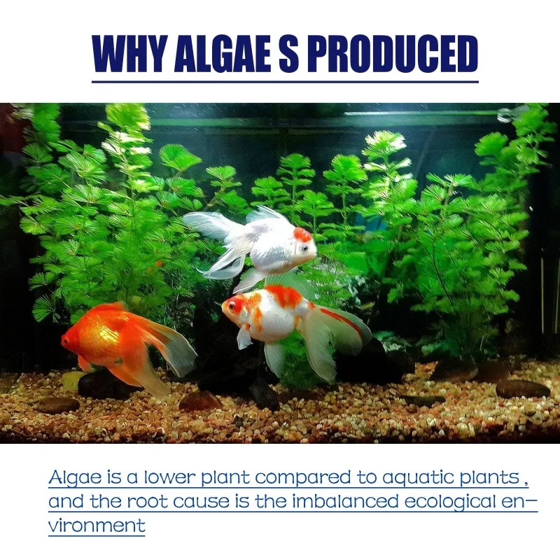 Algaicida de Alta Eficiência 5 - Planted Aquarium Fertilizer avaliação e preço