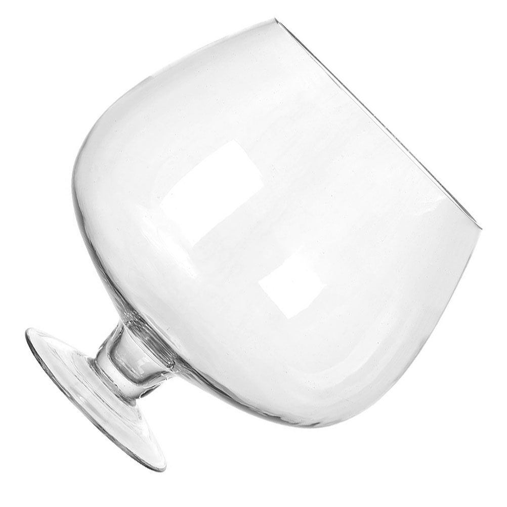 Vaso de Vidro para Peixes Pequ - Planted Aquarium Angelfish avaliação e preço