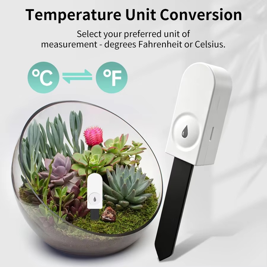 Testador de Solo Zigbee Multif - Tissue Culture Plant avaliação e preço