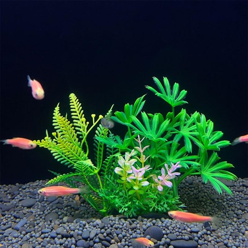 Decoração de aquário artificia - Planted Aquarium For Sale avaliação e preço
