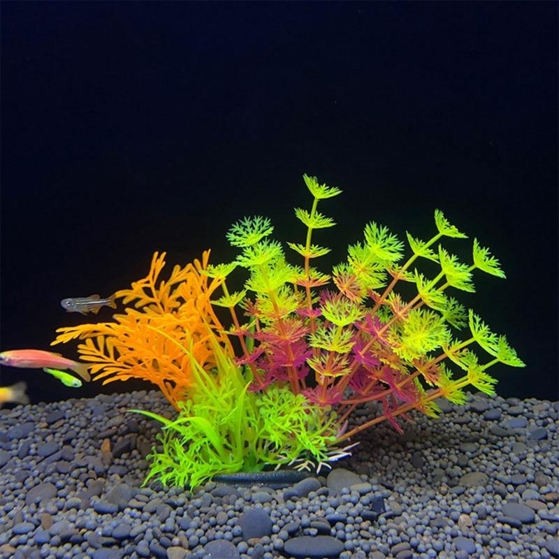 Decoração de aquário artificia - Planted Aquarium For Sale avaliação e preço