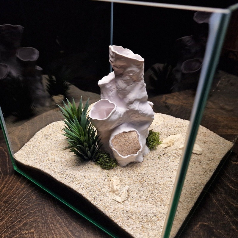 Oferta Imperdível: Decoração 3 - Planted Aquarium For Sale avaliação e preço