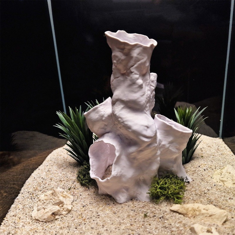 Oferta Imperdível: Decoração 3 - Planted Aquarium For Sale avaliação e preço
