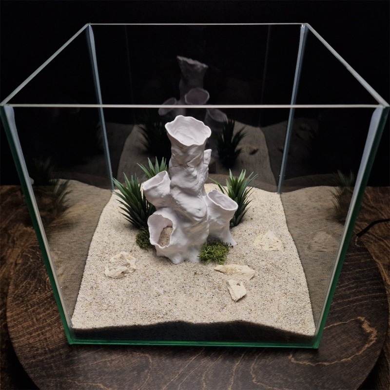 Oferta Imperdível: Decoração 3 - Planted Aquarium For Sale avaliação e preço