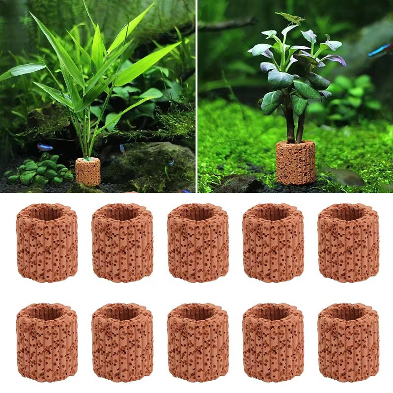 Anel fixo de planta aquática p - Aquarium Plant Utensils avaliação e preço