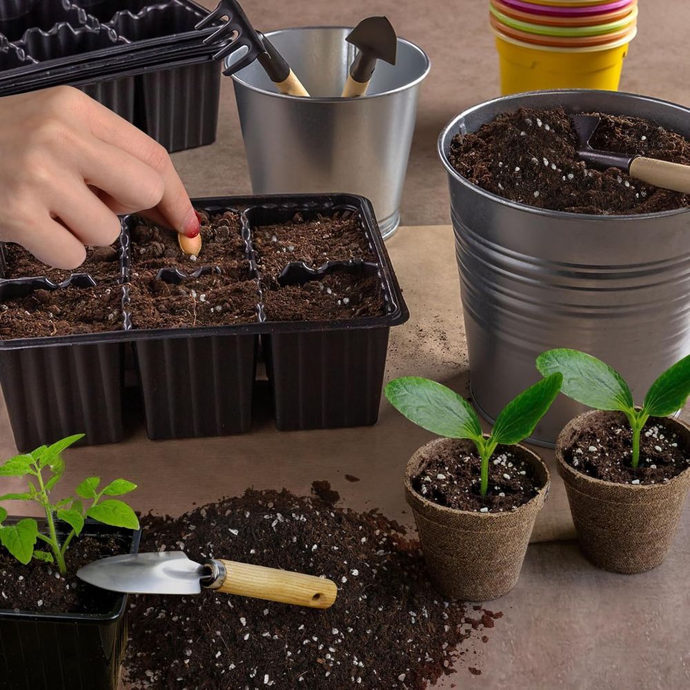 Mistura de Solo Premium para I - Tissue Culture Plant avaliação e preço