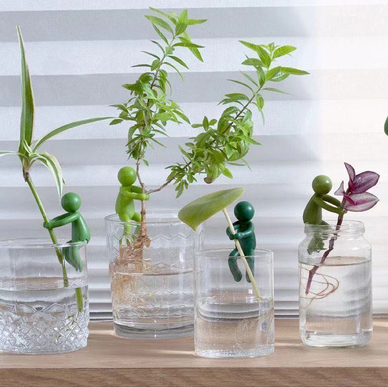 Ornamento de Figurinha para Fi - Tissue Culture Plant avaliação e preço