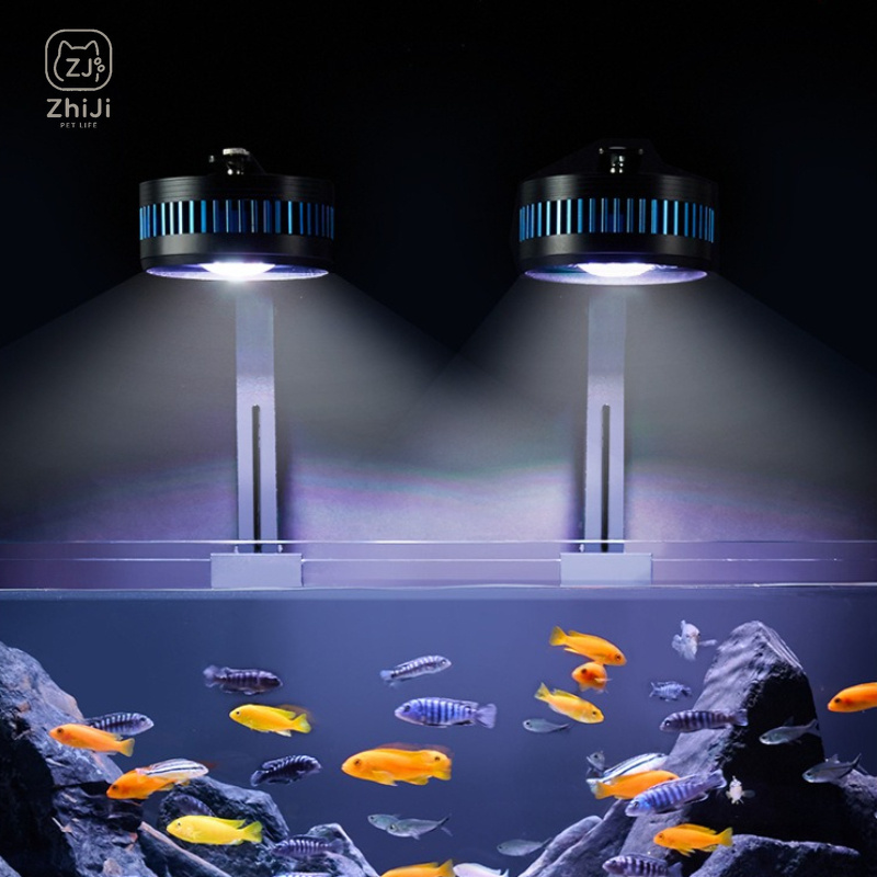 Luminária LED para Aquário com - Aquarium Plant On Wood avaliação e preço