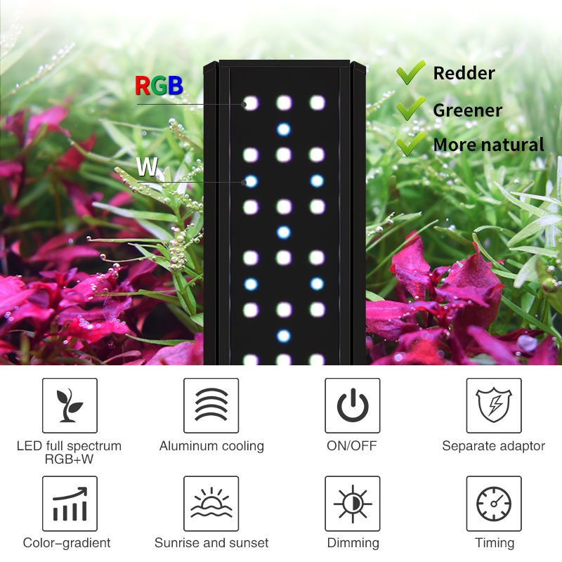 Zxy venda quente weekacu v400  - Planted Aquarium For Sale avaliação e preço