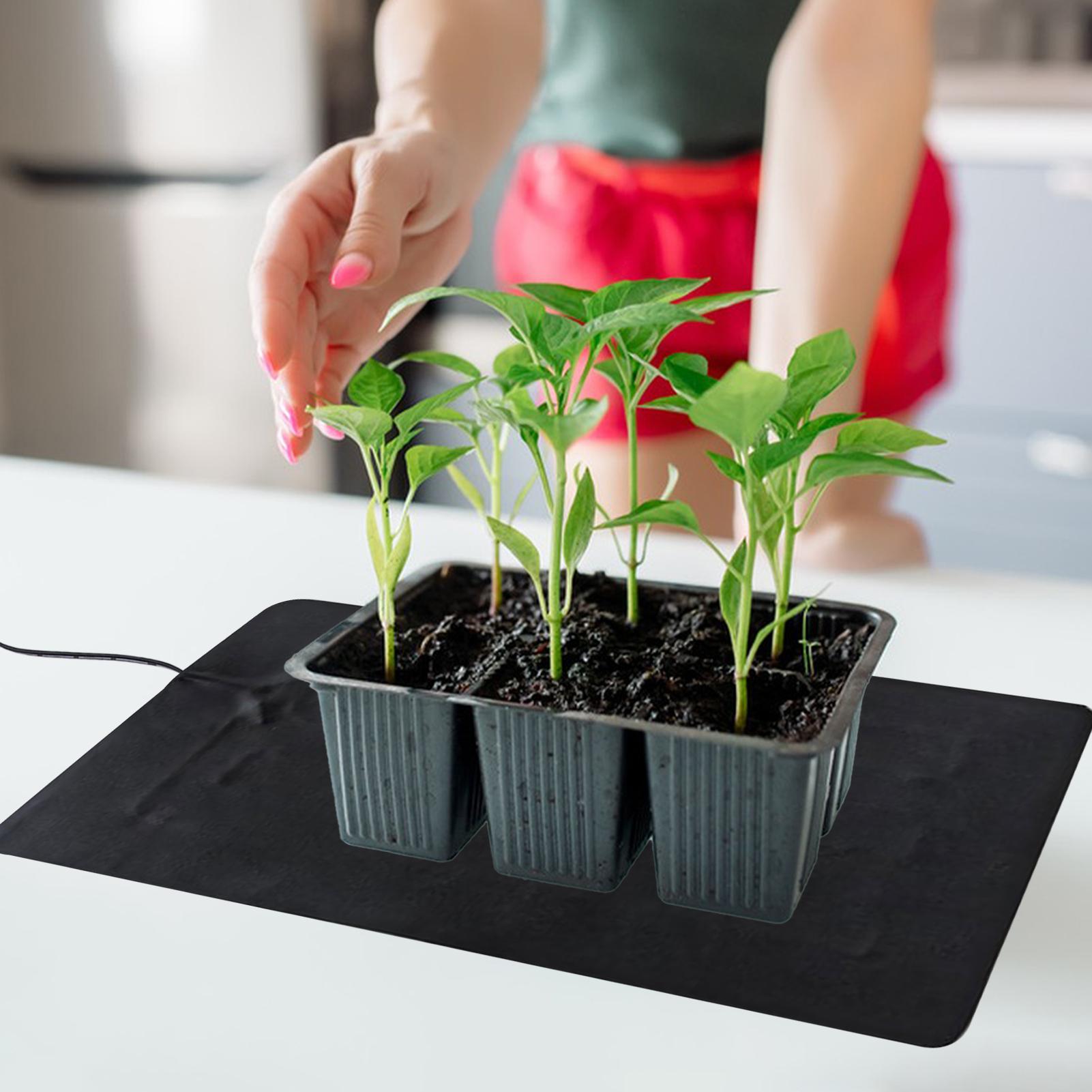 Tapetes de aquecimento USB de  - Tissue Culture Plant avaliação e preço