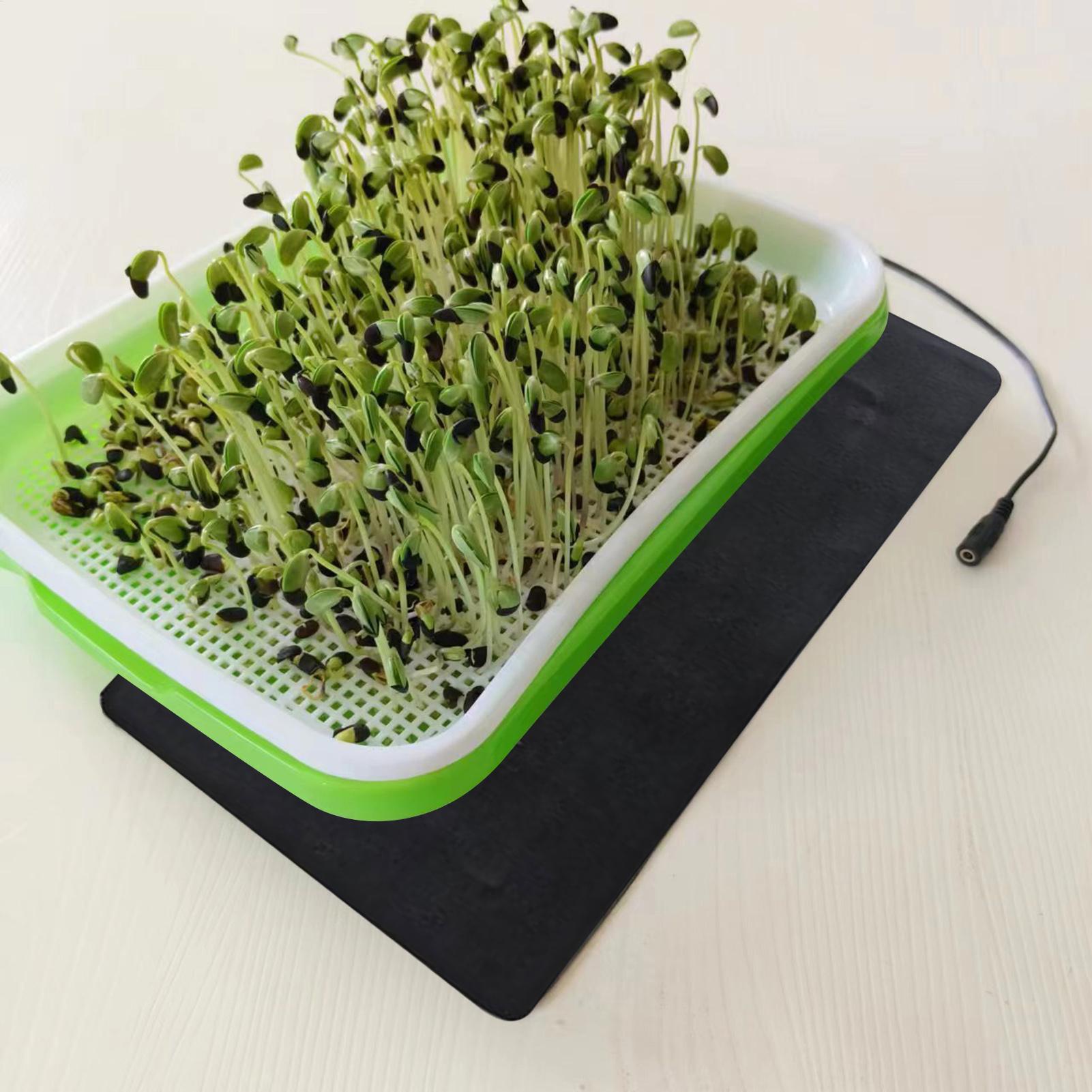 Tapetes de aquecimento USB de  - Tissue Culture Plant avaliação e preço