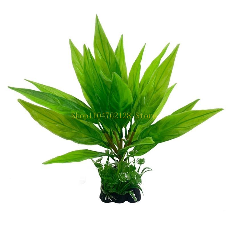Plantas aquáticas aquário, pla - Planted Aquarium For Sale avaliação e preço