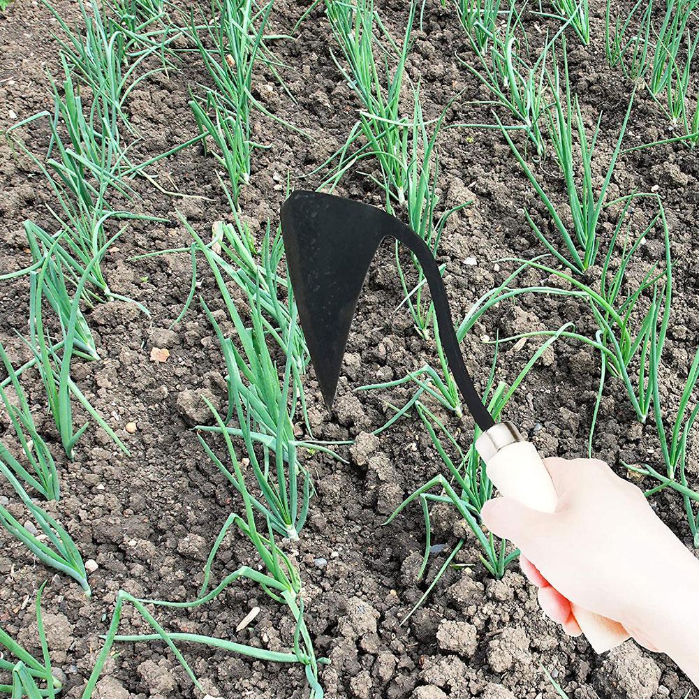Enxadas Agrícolas Domésticas E - Tissue Culture Plant avaliação e preço