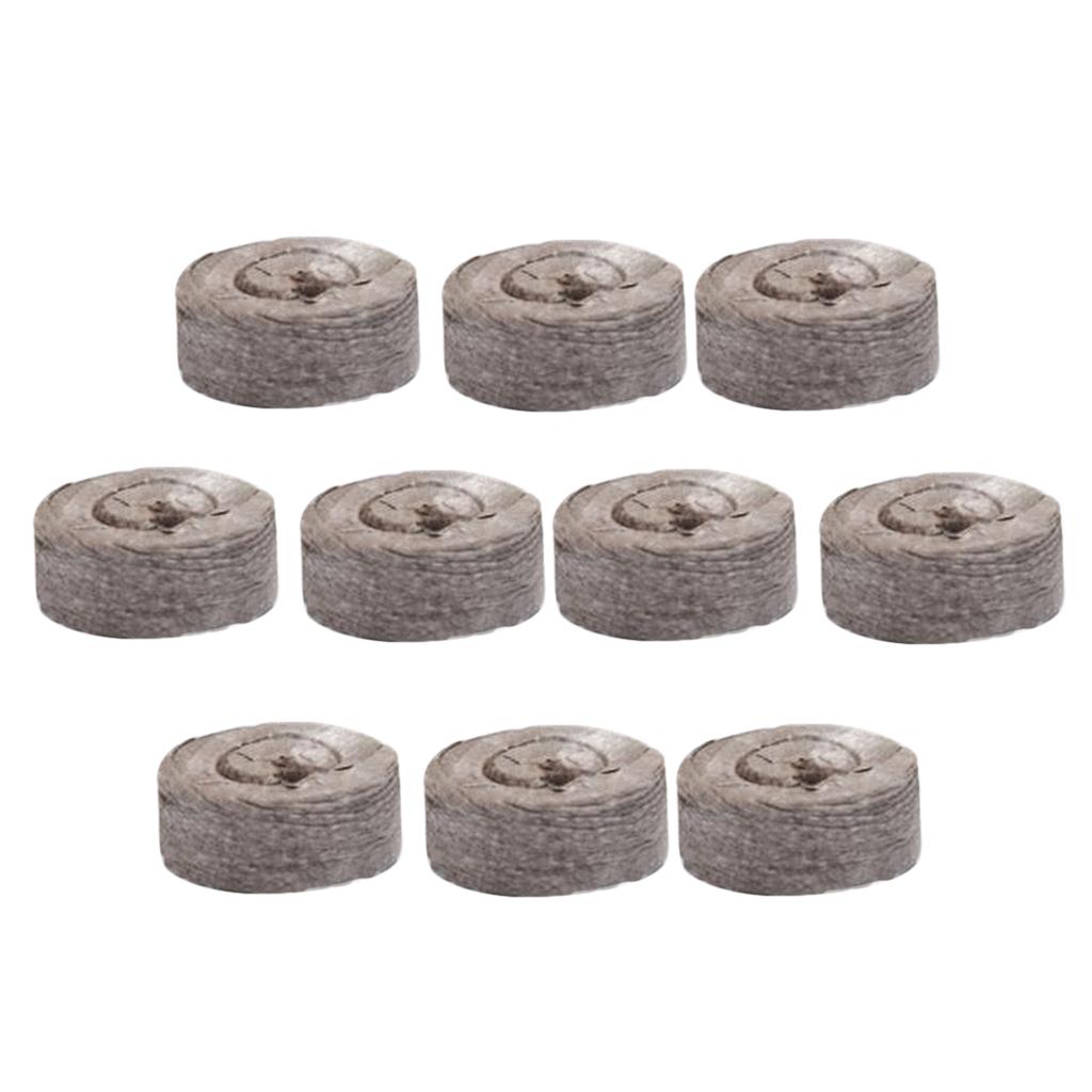 Pastilhas de Turfa para Germin - Tissue Culture Plant avaliação e preço