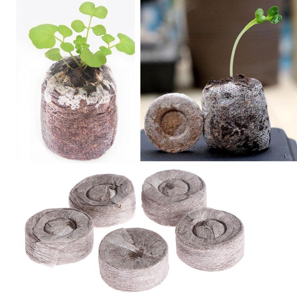 Pastilhas de Turfa para Germin - Tissue Culture Plant avaliação e preço