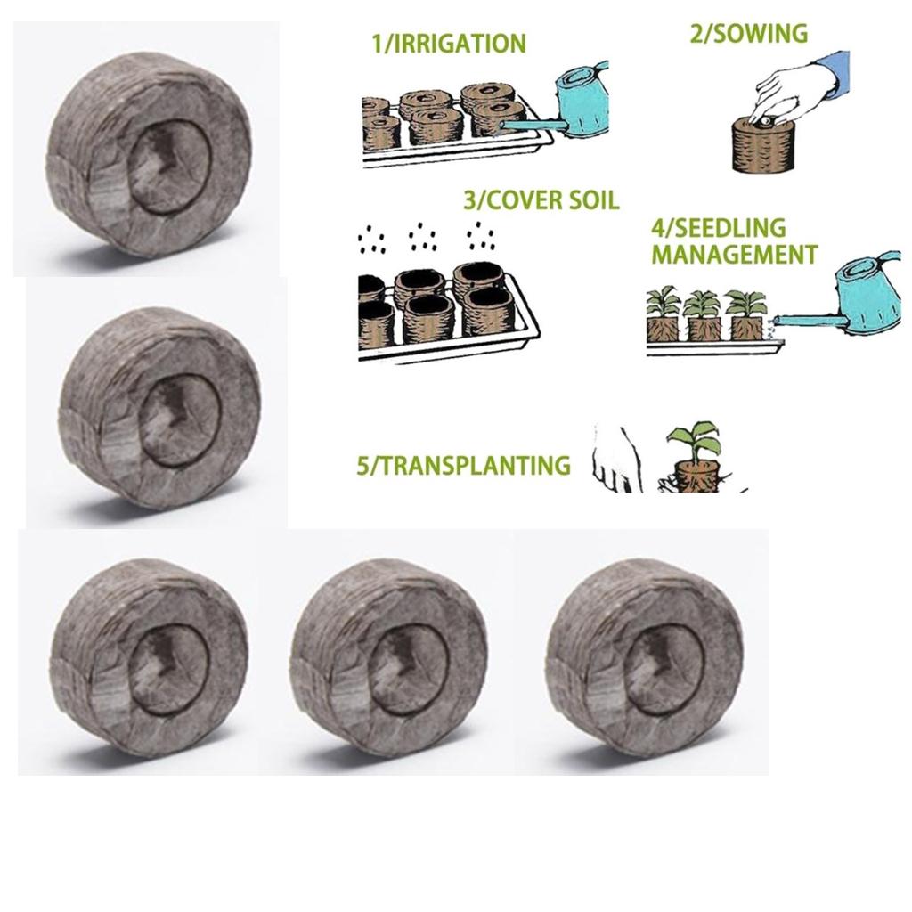 Pastilhas de Turfa para Germin - Tissue Culture Plant avaliação e preço
