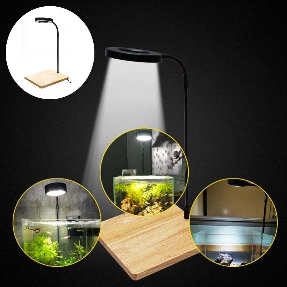 Lâmpada LED de 10W para Aquári - Aquarium Plant On Wood avaliação e preço