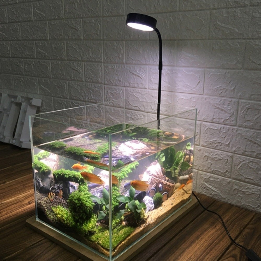 Lâmpada LED de 10W para Aquári - Aquarium Plant On Wood avaliação e preço