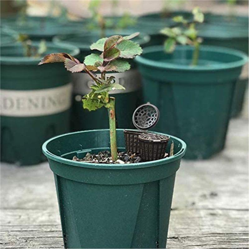 ABUH-Garden: Conjunto de 100 C - Planted Aquarium Fertilizer avaliação e preço
