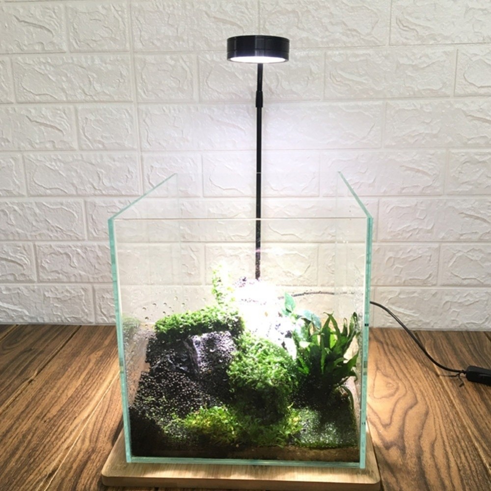 Lâmpada led para tanque de pei - Aquarium Plant On Wood avaliação e preço