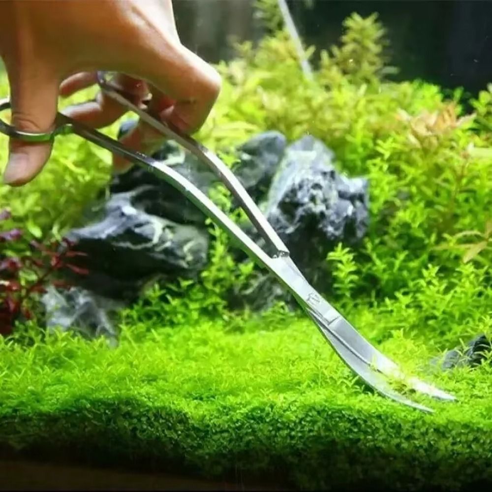 1 Unidade Tesoura de Aço Inoxi - Aquarium Plant Utensils avaliação e preço