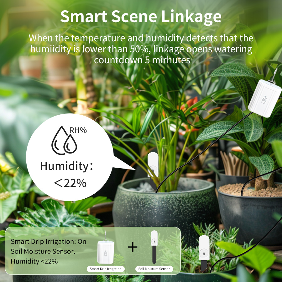 Sensor de Umidade e Temperatur - Tissue Culture Plant avaliação e preço