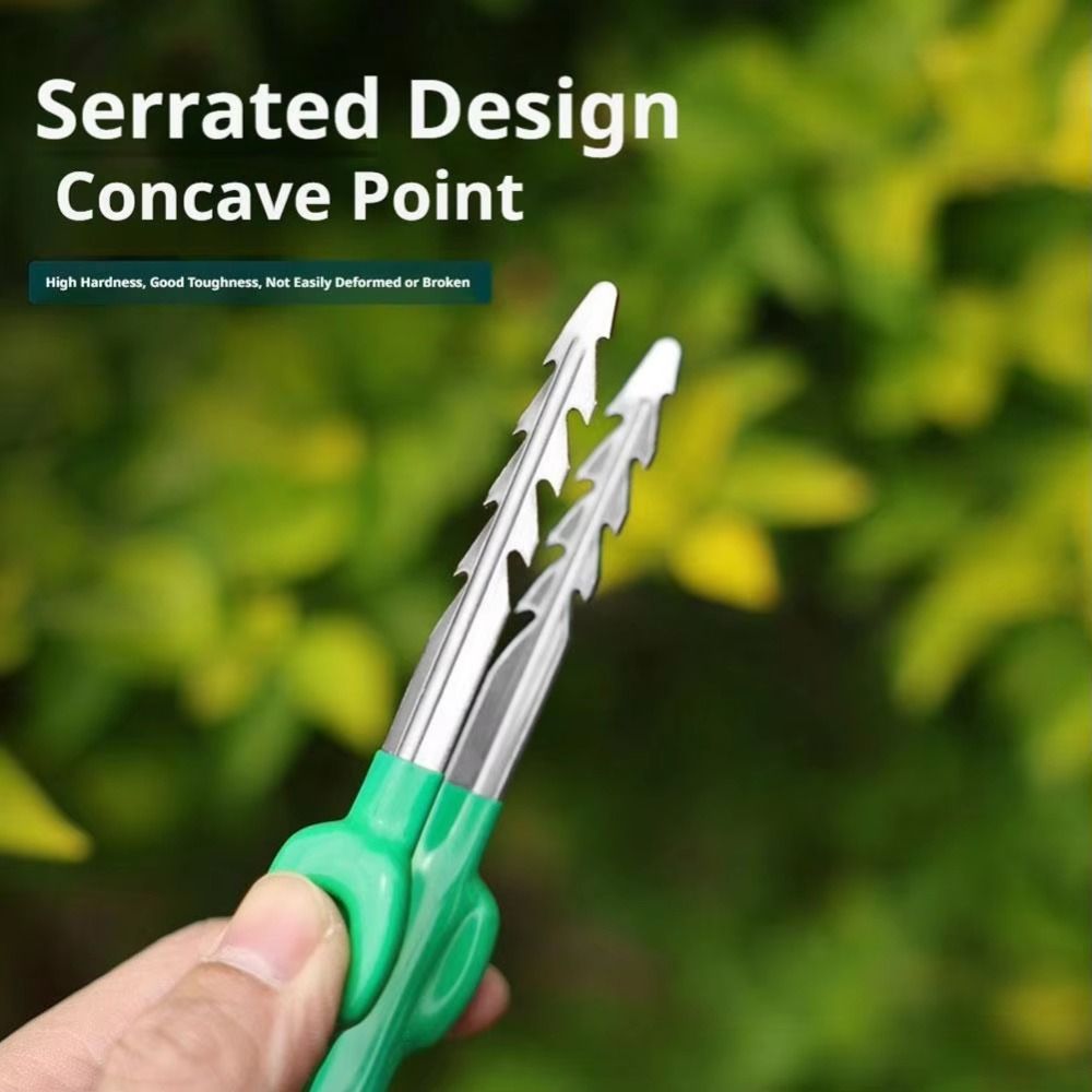 Pinça de Jardinagem em Aço Ino - Planted Clip Tweezers avaliação e preço