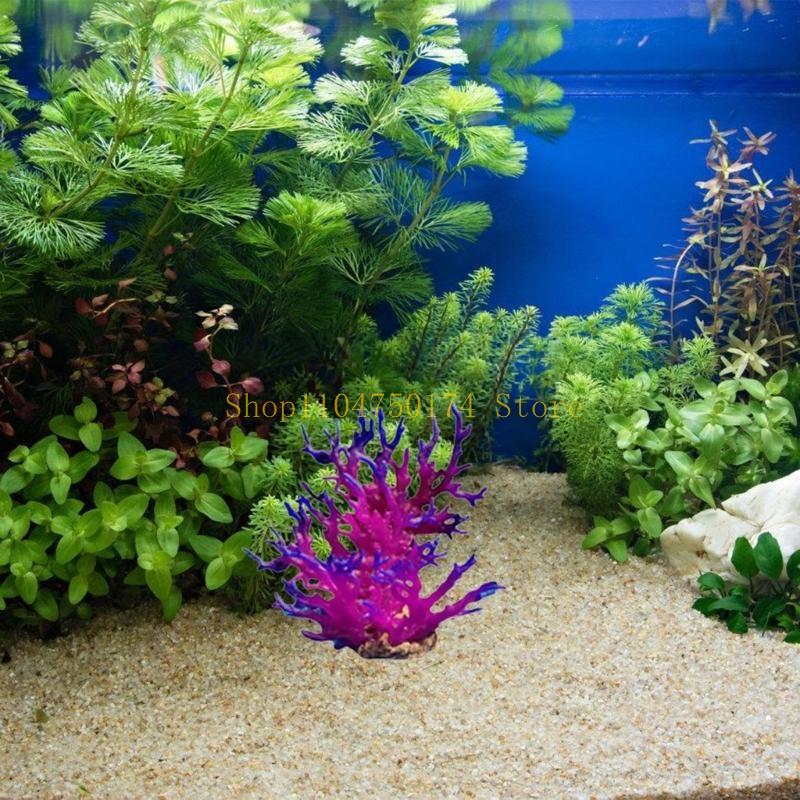Árvore artificial planta decor - Planted Aquarium For Sale avaliação e preço