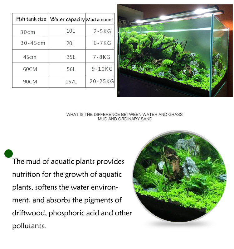 Solo para plantas do tanque de - Tissue Culture Plant avaliação e preço