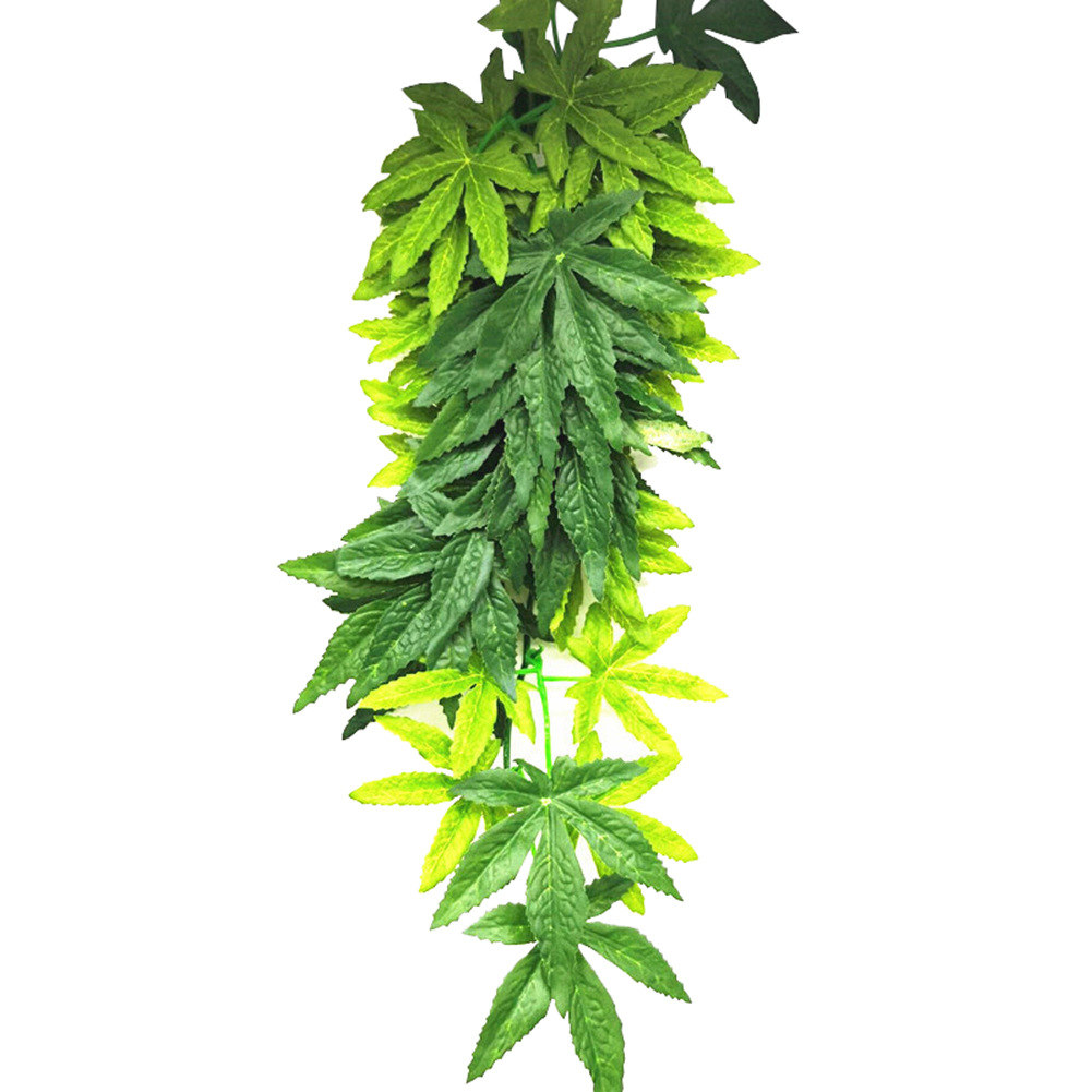 Venda quente 30/40/50cm aquári - Planted Aquarium For Sale avaliação e preço
