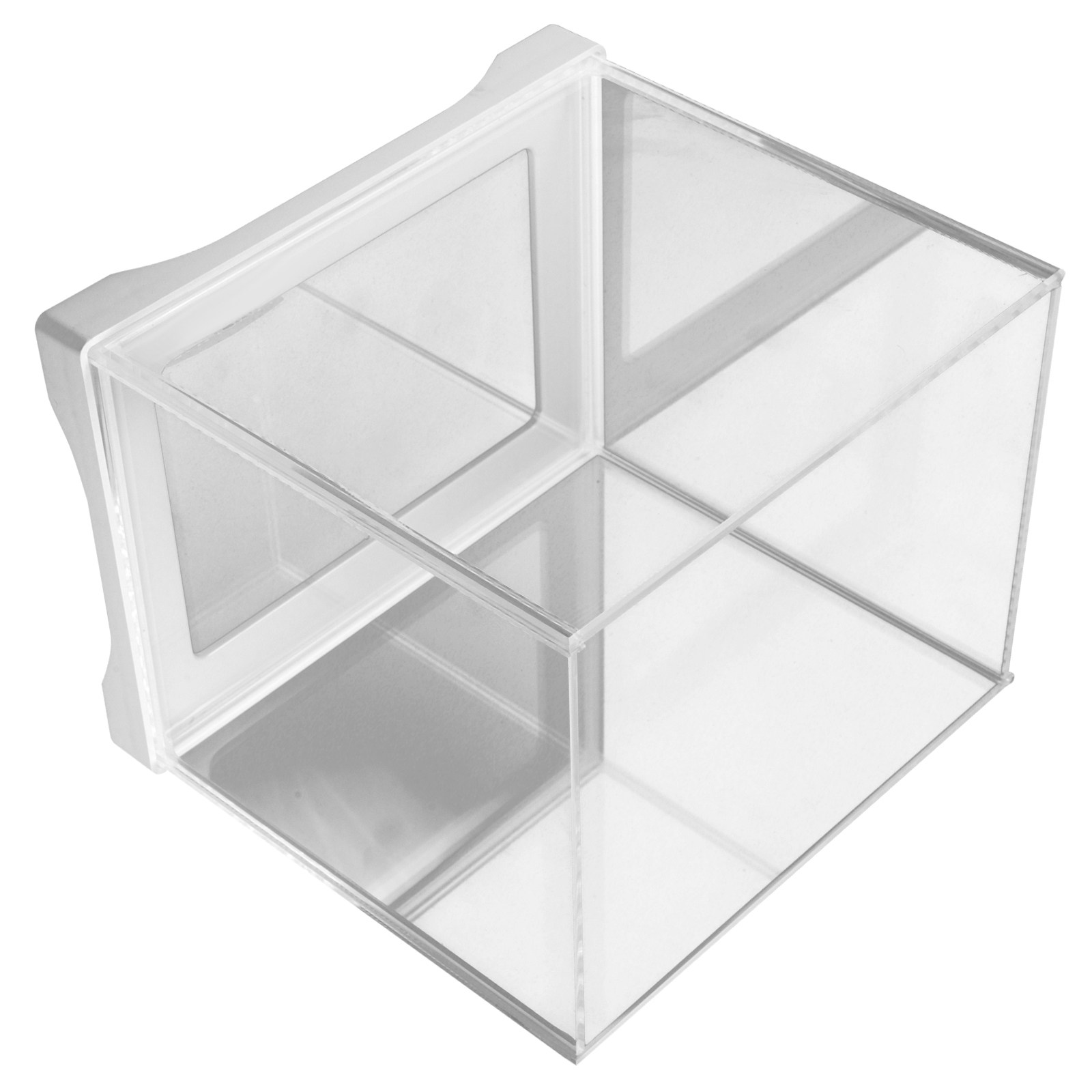Mini Aquário de Vidro Transpar - Planted Aquarium Angelfish avaliação e preço