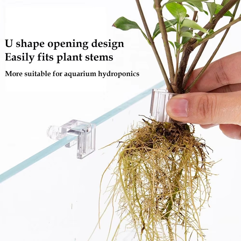 Promoção: 6 Peças de Suporte T - Planted Aquarium For Sale avaliação e preço