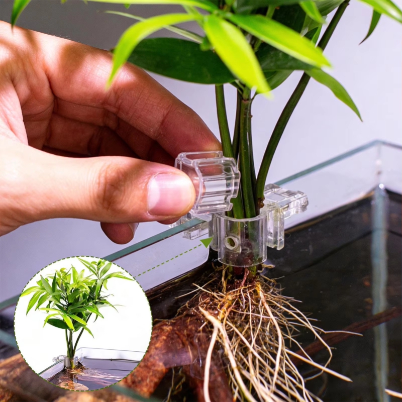 Promoção: 6 Peças de Suporte T - Planted Aquarium For Sale avaliação e preço