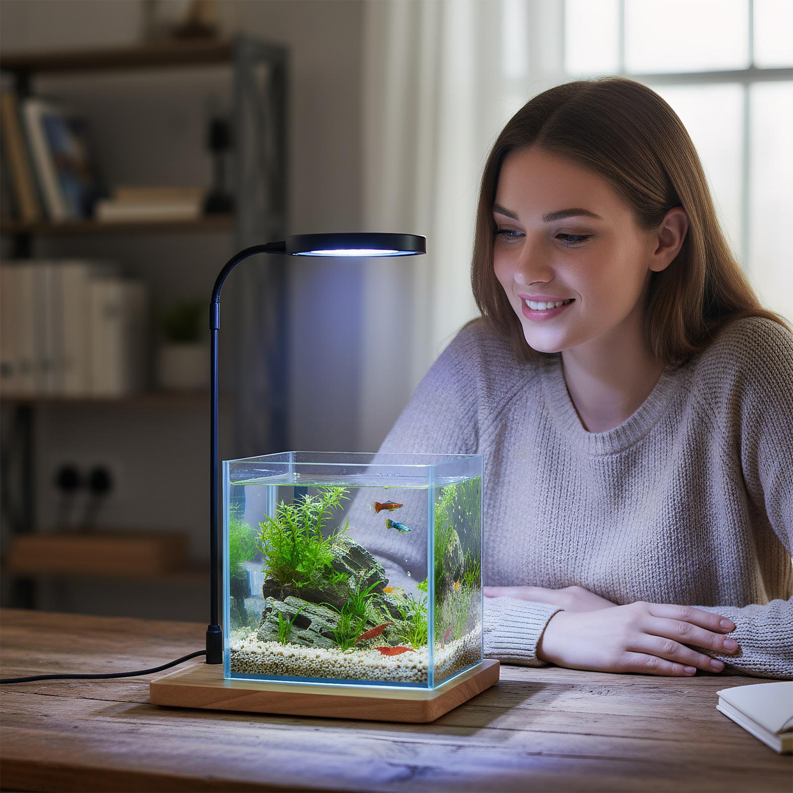Luzes de plantas para cultivo  - Aquarium Plant On Wood avaliação e preço