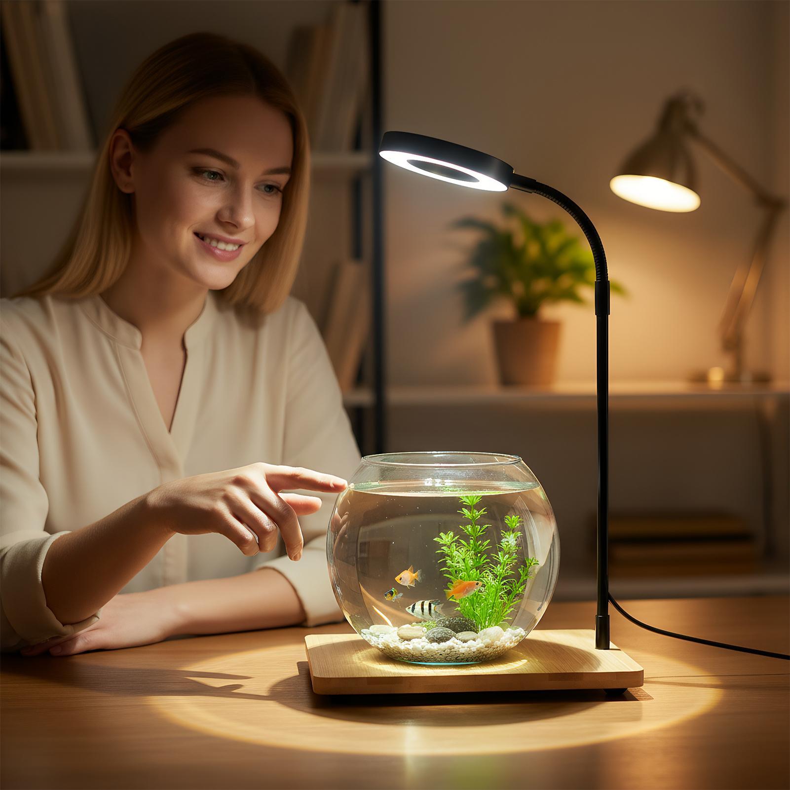 Luzes de plantas para cultivo  - Aquarium Plant On Wood avaliação e preço